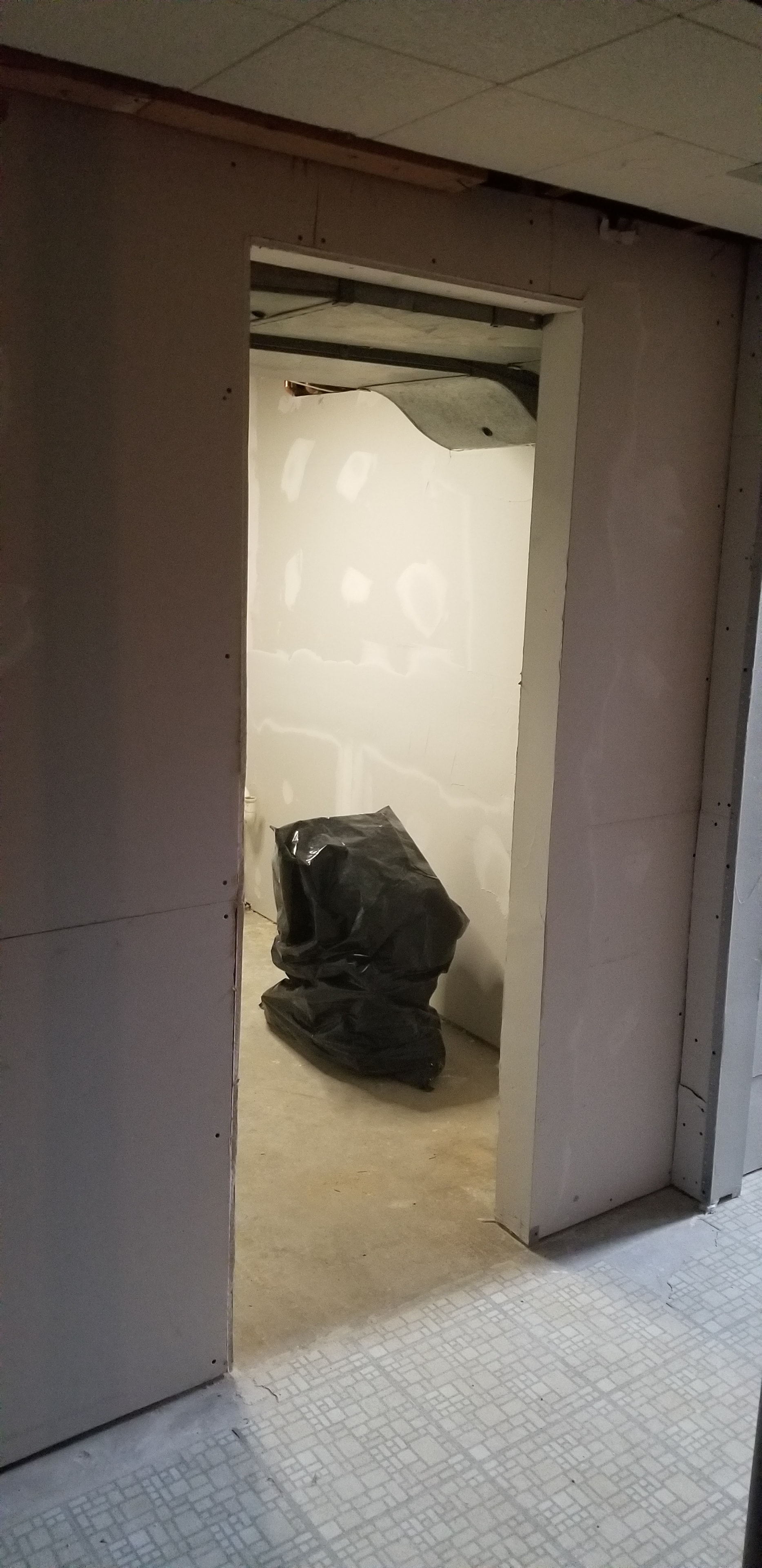 Bathroom renovation — interior framing and construction